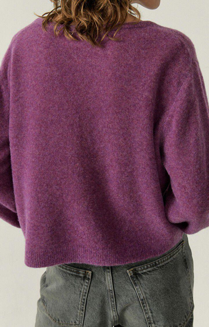 American Vintage Pull Femme Razpark - VIOLINE MULTICHINE 55 Manches Longues Violet - E23