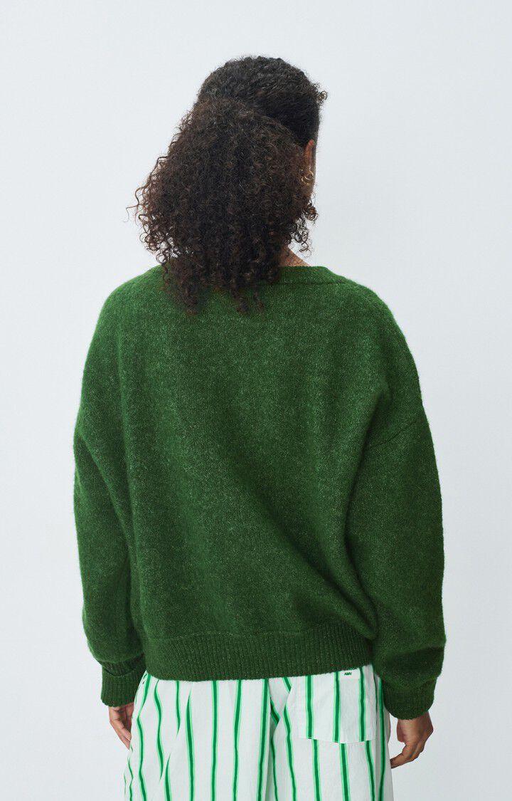 american Vintage Pull Femme Vitow - BASILIC CHINE 48 Manches Longues Vert - E25