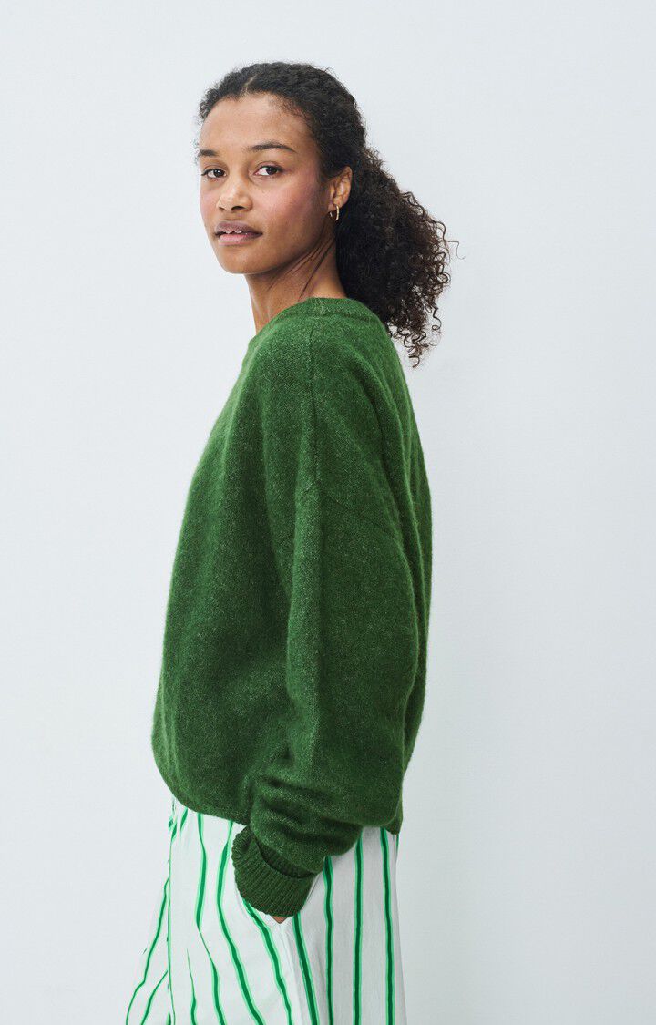 american Vintage Pull Femme Vitow - BASILIC CHINE 48 Manches Longues Vert - E25