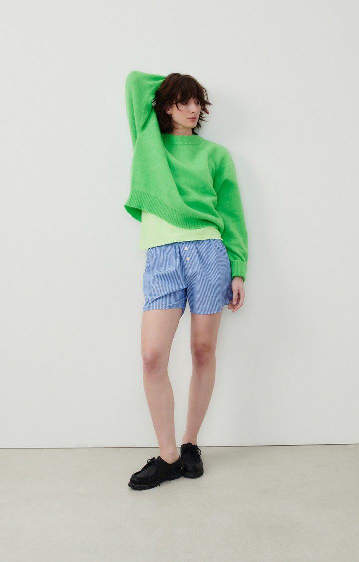 American Vintage Pull Femme Vitow - CHRYSALIDE 48 Manches Longues Vert - E24