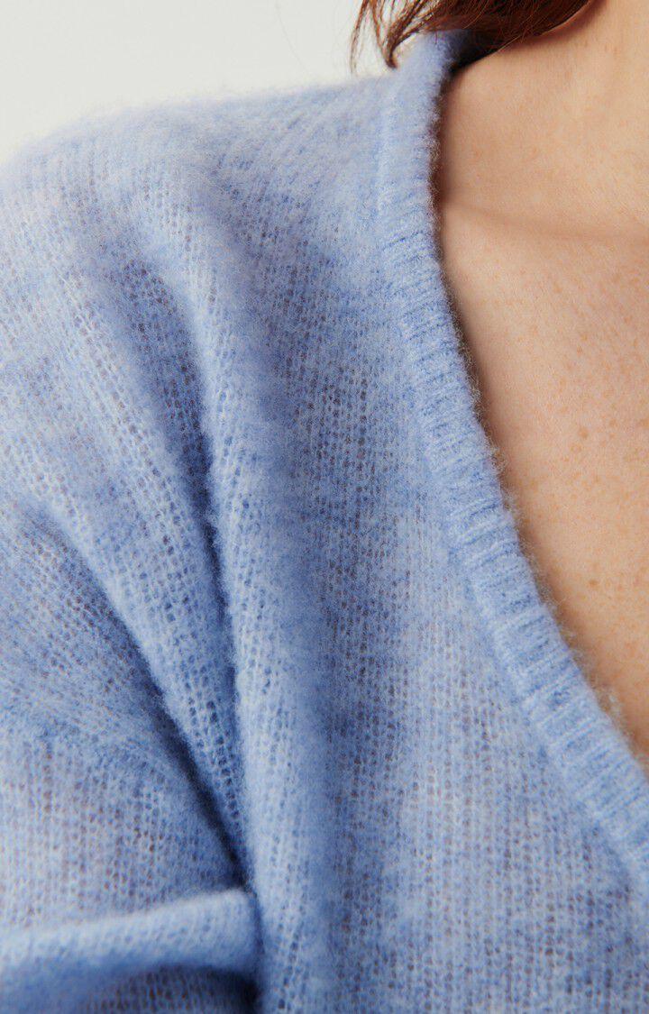 American Vintage Pull Femme Zakday - OURAGAN CHINE 47 Manches Longues Bleu - E24