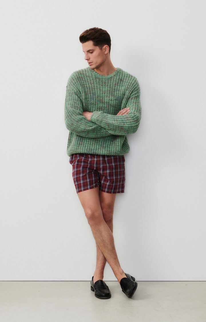 American Vintage Pull Homme Poyatown - ALOE VERA MULTICHINE 55 Manches Longues Vert - E24