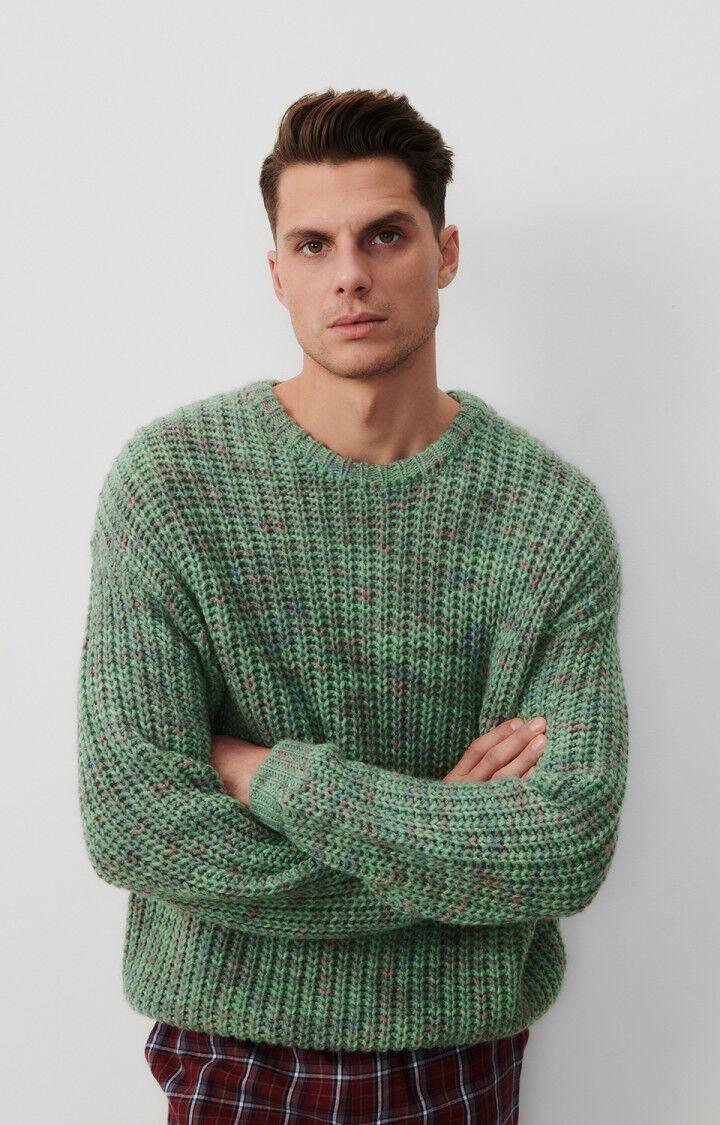 american vintage Pull homme Poyatown - ALOE VERA MULTICHINE 55 Manches longues Vert - E24