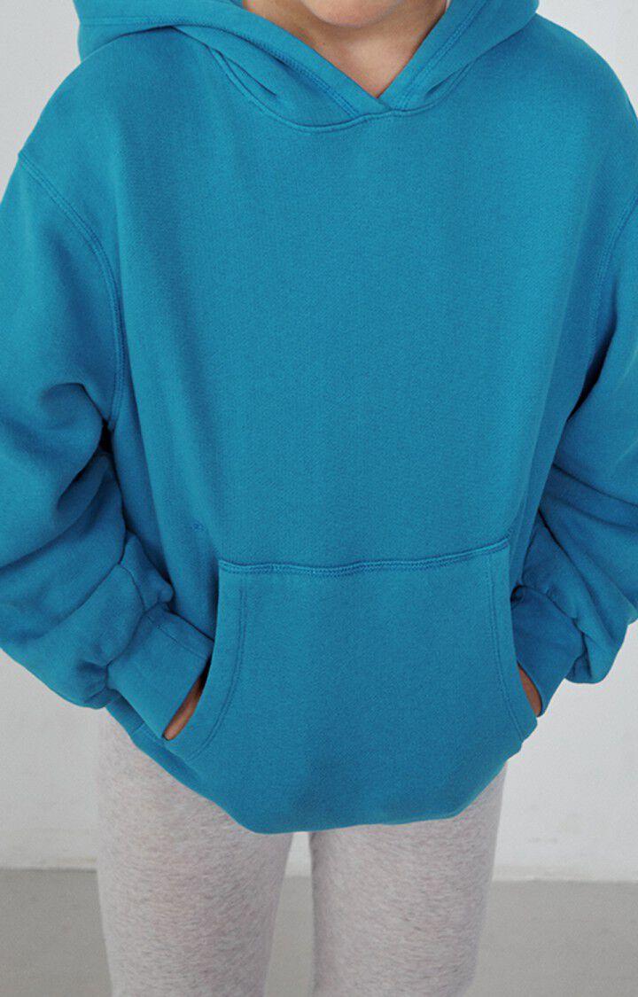 american vintage Sweat à capuche enfant Izubird - VAGUE VINTAGE 36 Manches longues Bleu - E23