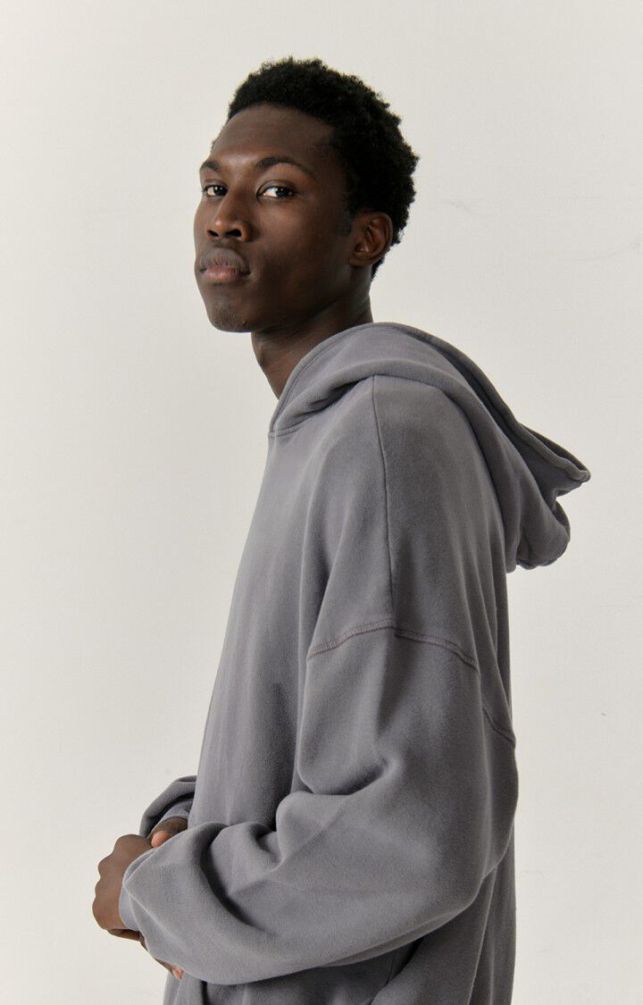 American Vintage Sweat à Capuche Homme Izubird - ARDOISE VINTAGE 54 Manches Longues Gris - E23