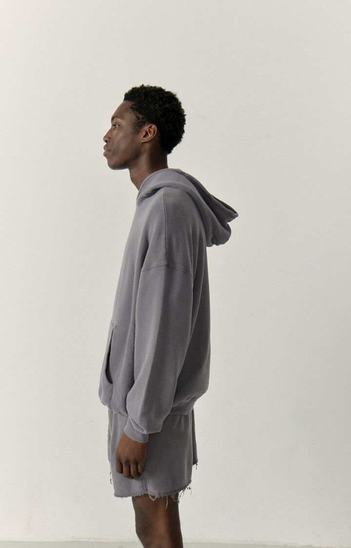 American Vintage Sweat à Capuche Homme Izubird - ARDOISE VINTAGE 54 Manches Longues Gris - E23