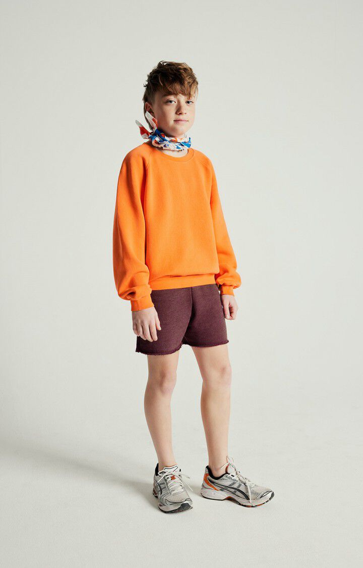 american vintage Sweat enfant Izubird - ORANGEADE VINTAGE 48 Manches longues Orange - E25