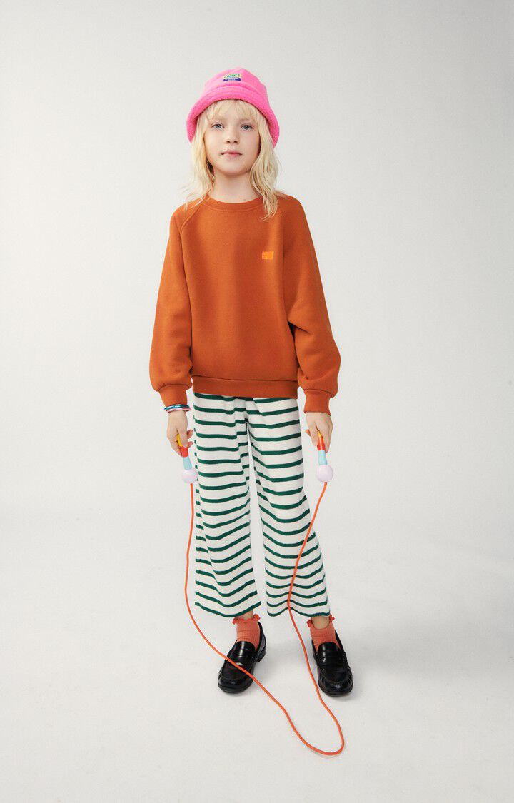 American Vintage Sweat Enfant Izubird - TERRE BRULEE VINTAGE 48 Manches Longues Marron - E24