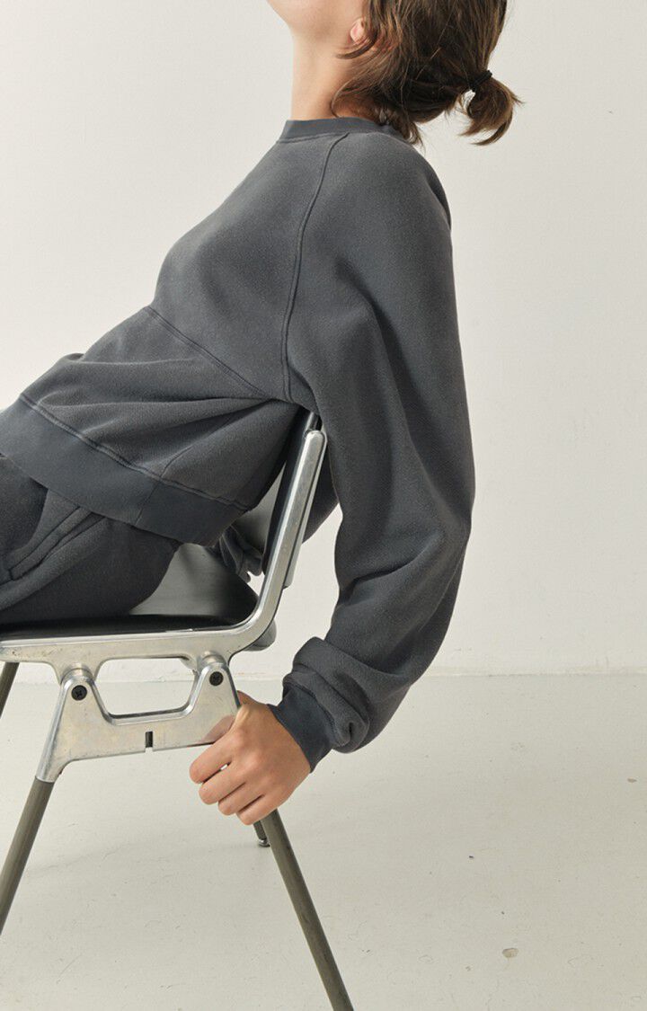 American Vintage Sweat Femme Uticity - GRIS VINTAGE 73 Manches Raglan Gris - H22