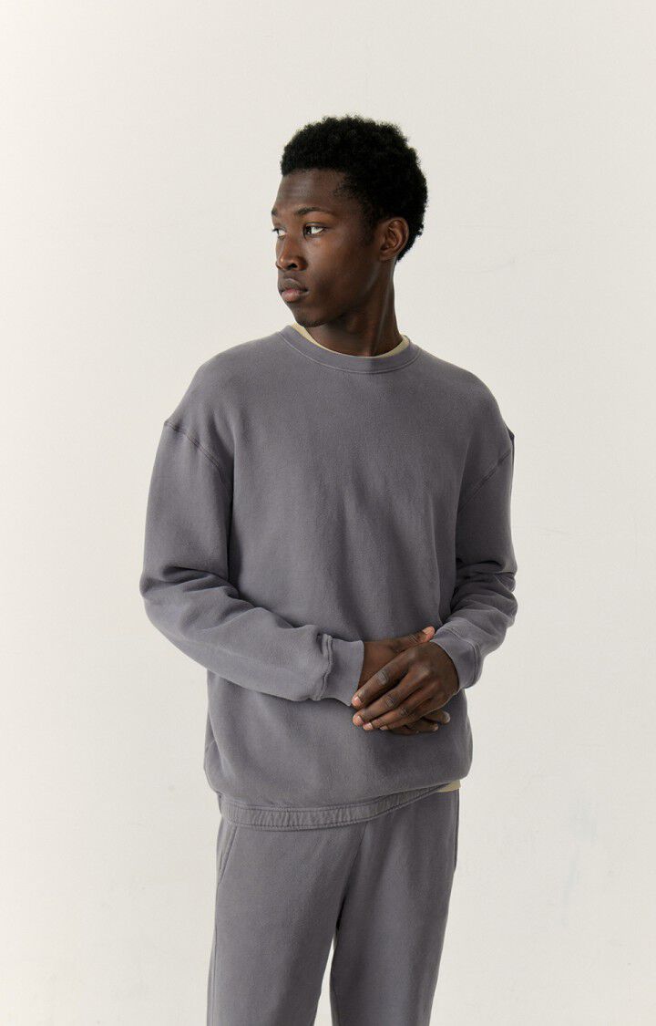 american vintage Sweat homme Izubird - ARDOISE VINTAGE 58 Manches longues Gris - E23