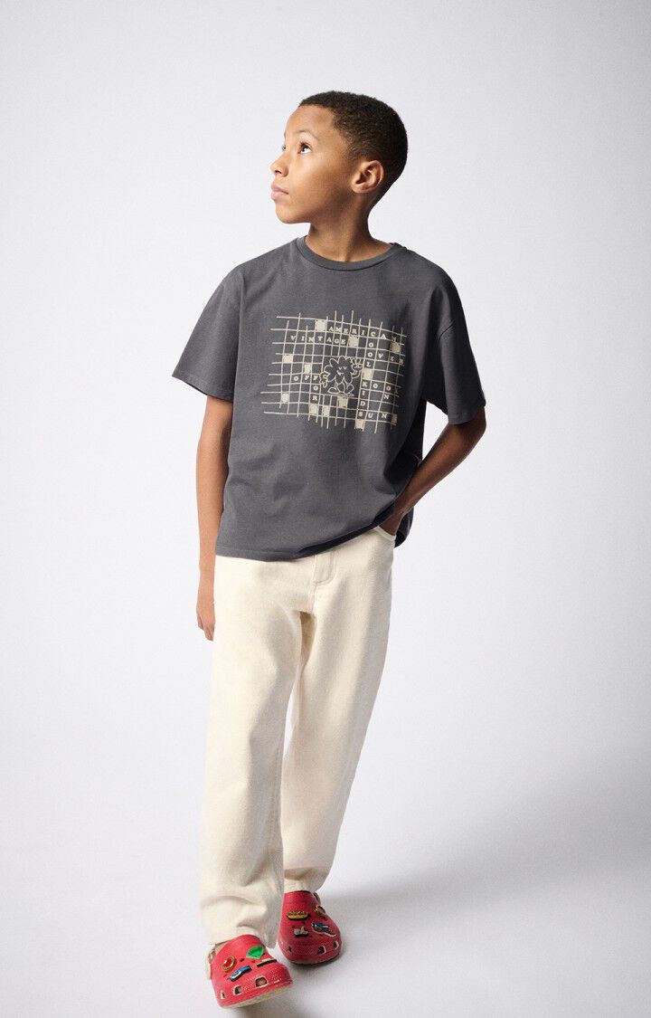 american vintage T-shirt enfant Fizvalley - ACIER VINTAGE 12 Manches courtes Gris - E25