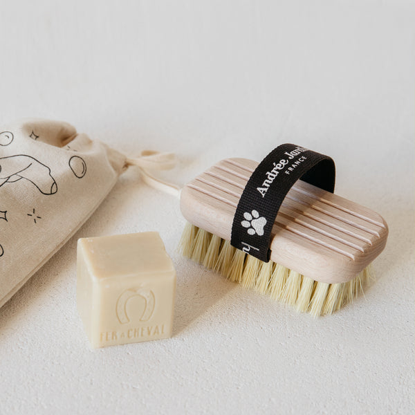 andrée jardin Brosse massage chien