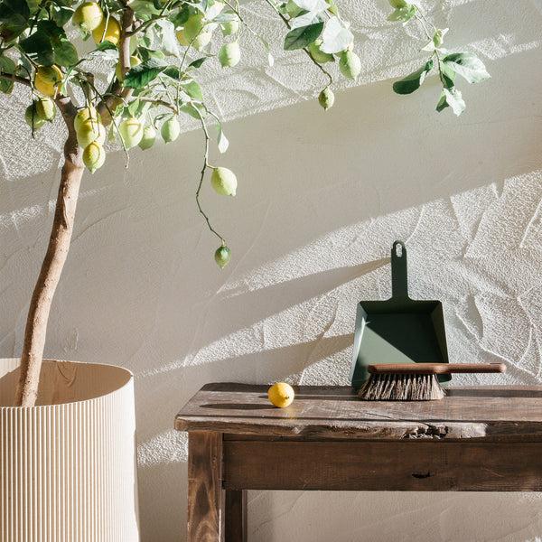 Andrée Jardin Coffret Pelle Balayette Frêne Craft - Andrée Jardin