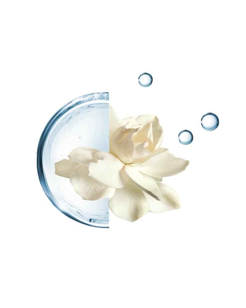 Annayake Annayake - Soin Double Hydratation éclat Extrême