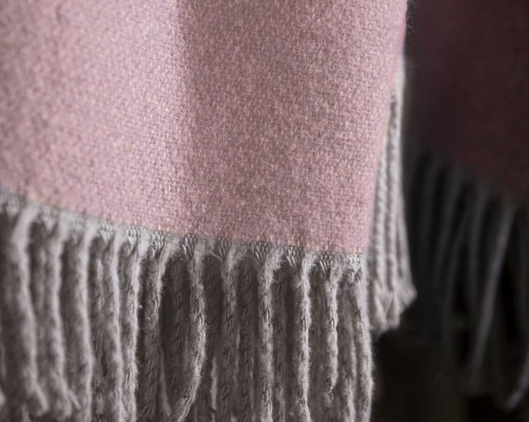 Anne De Solène PLAID Divin · Parme