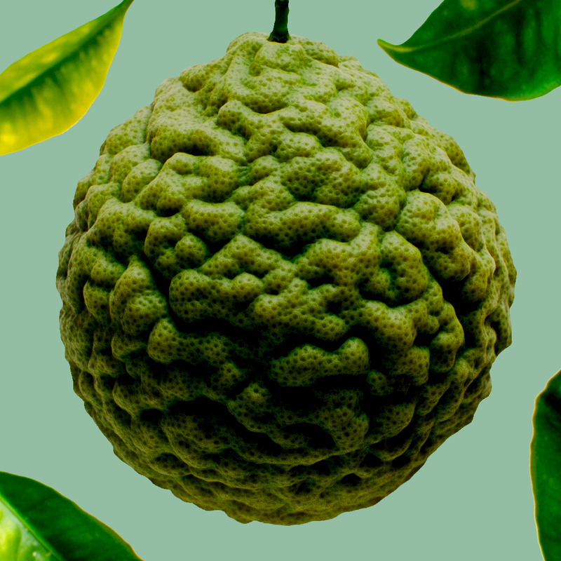 Annick Goutal L'Ile Au Thé - Eau De Toilette