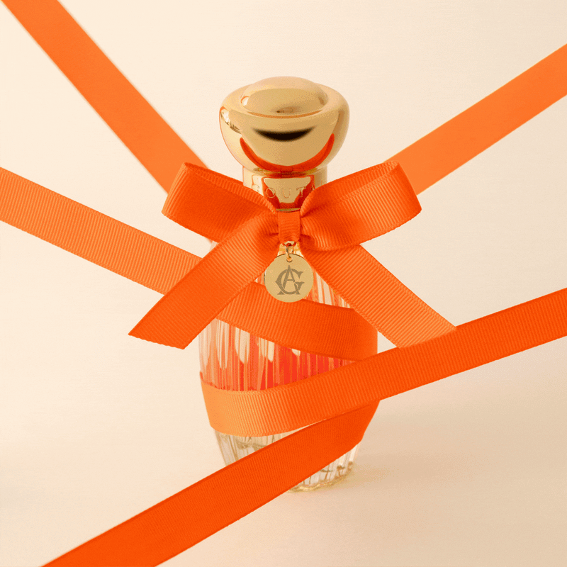 Annick Goutal Le Temps Des Rêves - Life In Orange