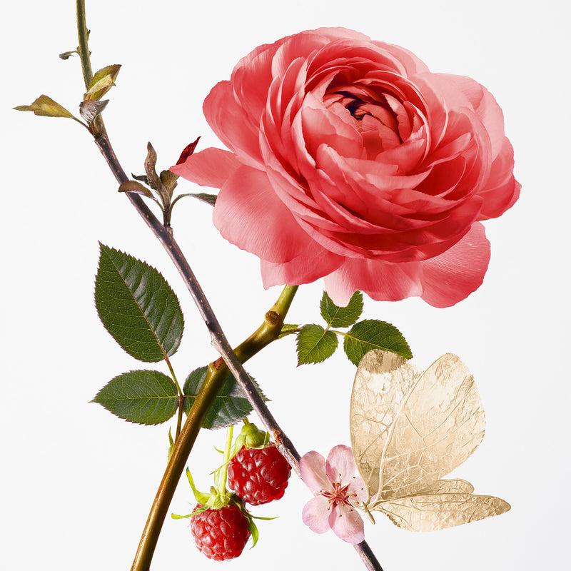 Annick Goutal Rose Pompon - Baume Mains – Goutal
