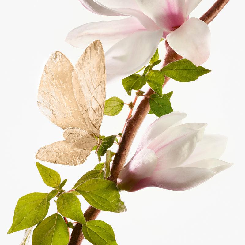 Annick Goutal Un Matin D'Orage - Eau De Toilette