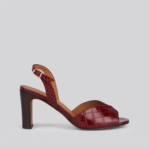 anthology paris aily ROUGE