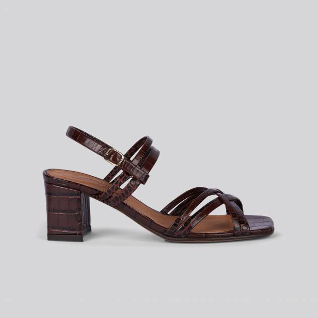 anthology paris cluny BRUCCIATO