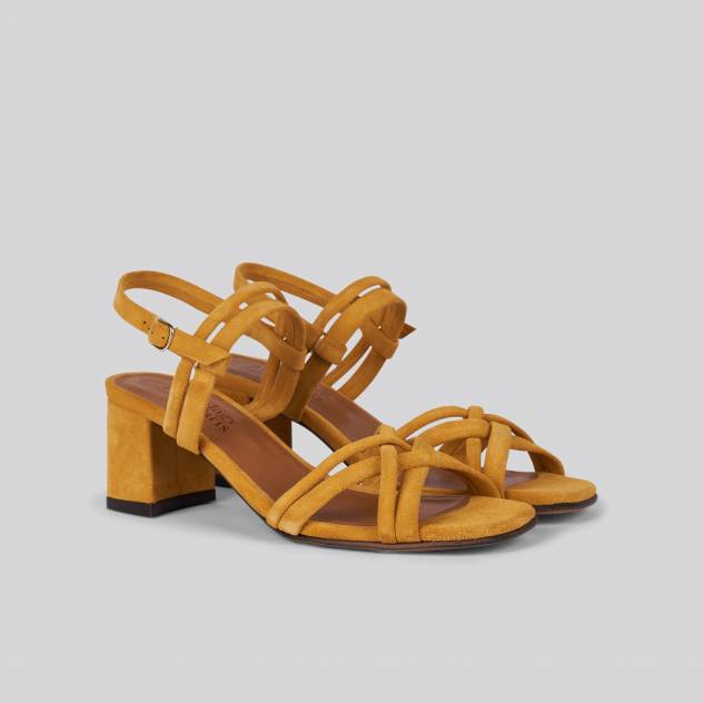 Anthology Paris Cluny CELTIS