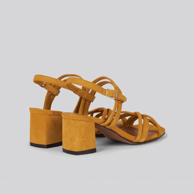 Anthology Paris Cluny CELTIS