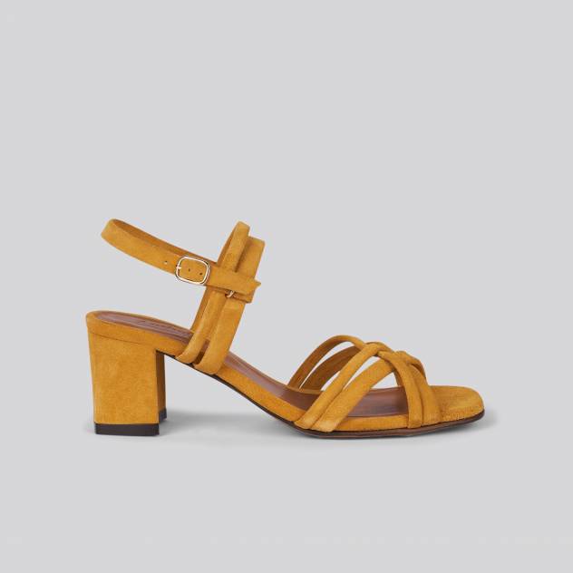 anthology paris cluny CELTIS