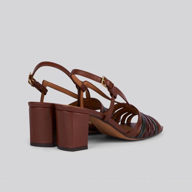 Anthology Paris Daley BRUCCIATO MIX