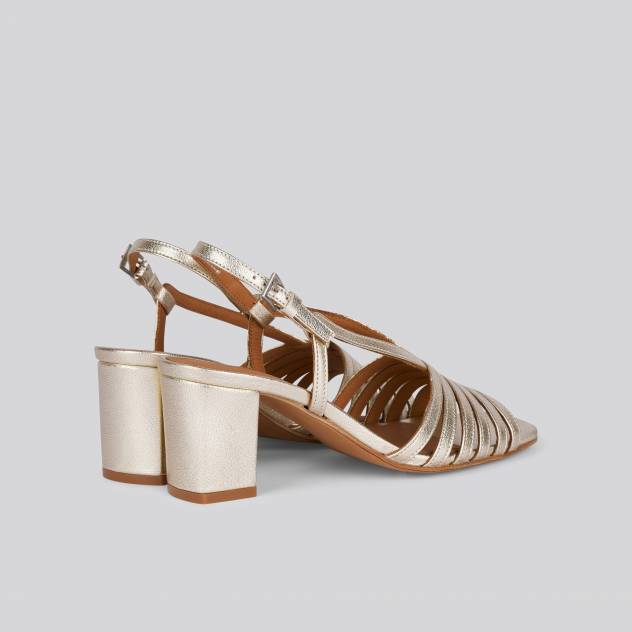 Anthology Paris Daley CHAMPAGNE