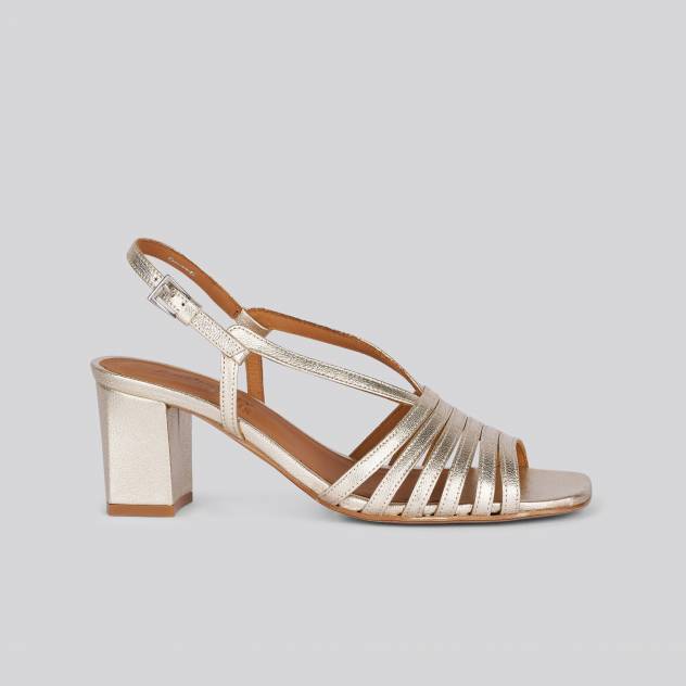 anthology paris daley CHAMPAGNE