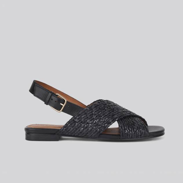 Anthology Paris Ringo-tr NOIR