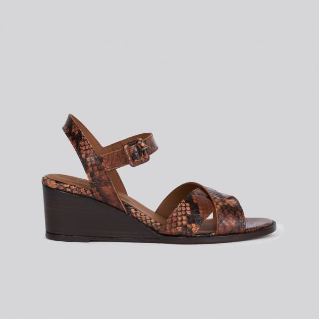 anthology paris varese CAMEL