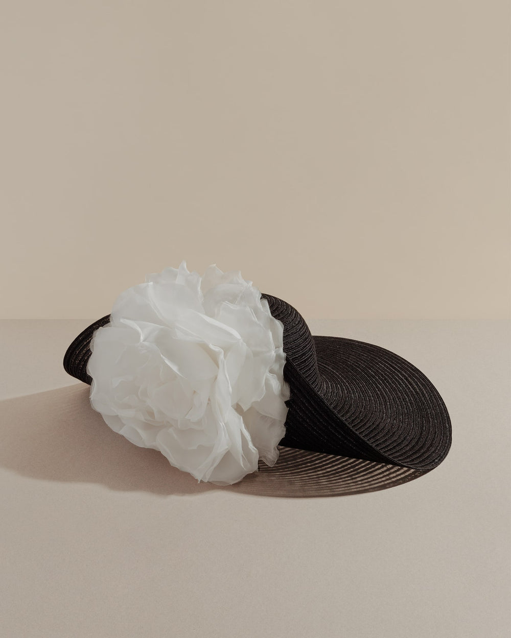 anthony peto paradis sisal