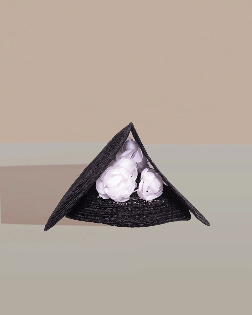 anthony peto petites disquettes