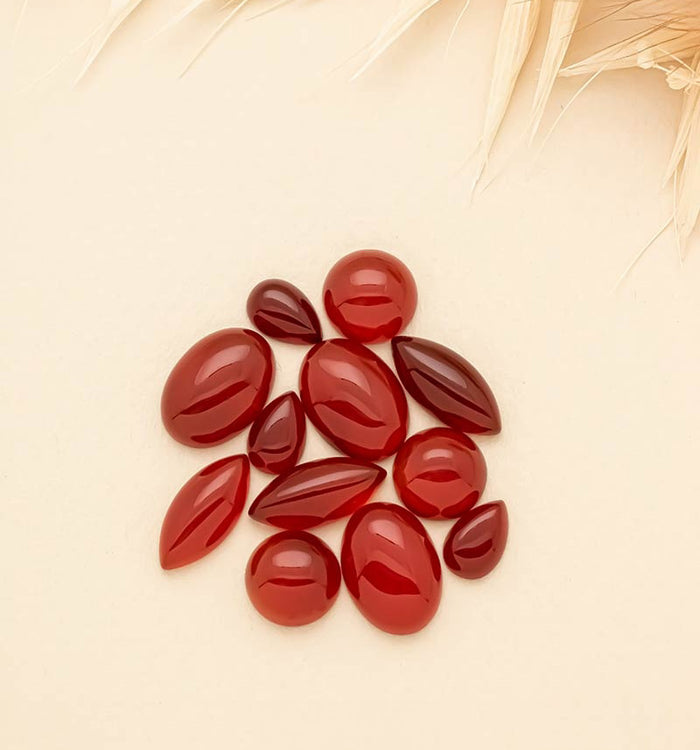 Antoinette Ameska Boucles D'Oreilles POLARIS - Dormeuses Longues Cornaline