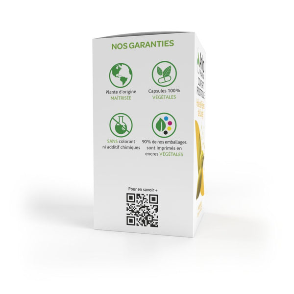 Arkopharma Arkogélules® Huile De Pépins De Courge