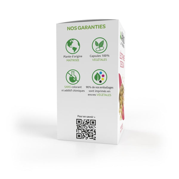 Arkopharma Arkogélules® Lécithine De Soja