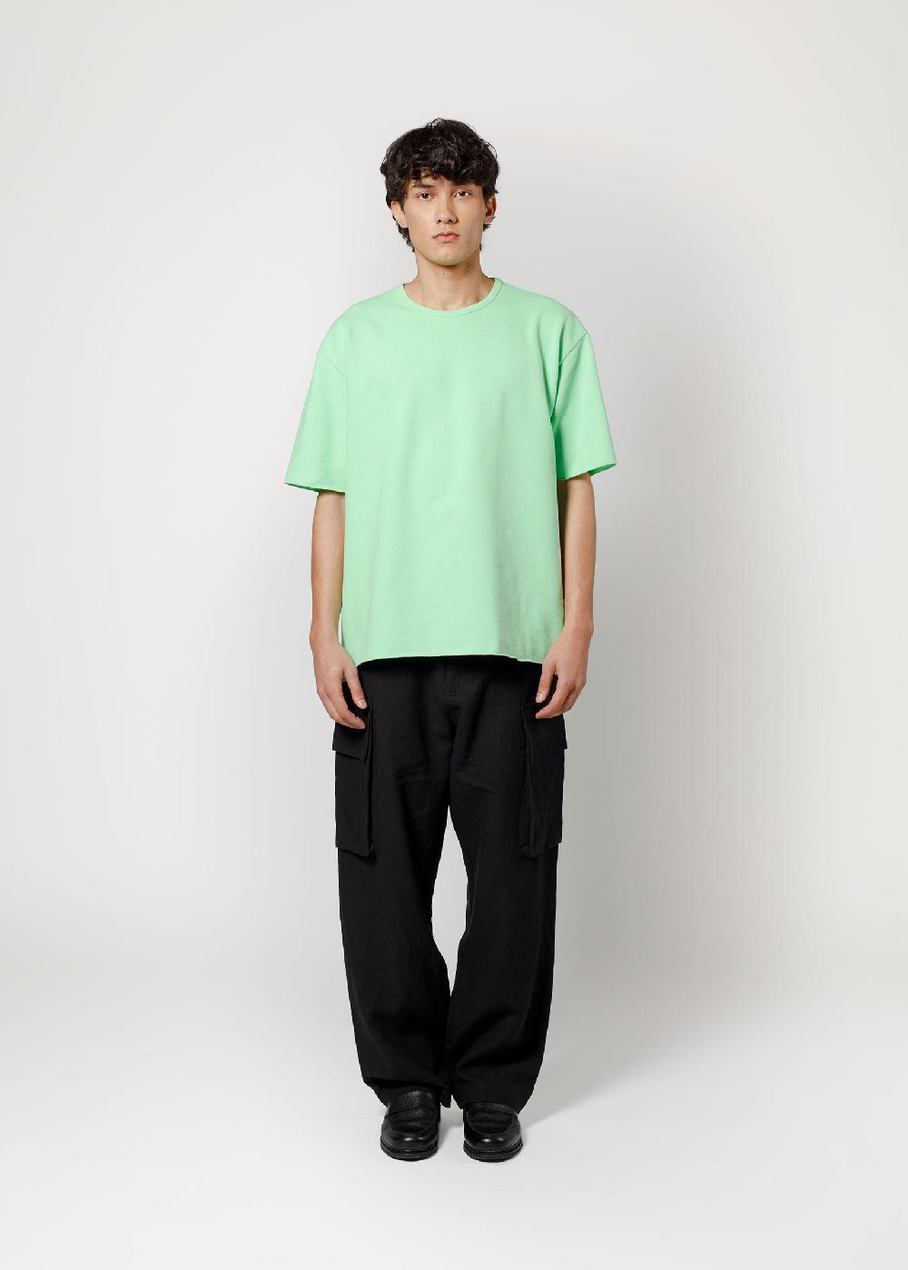 arpenteur Pontus - Vert citron