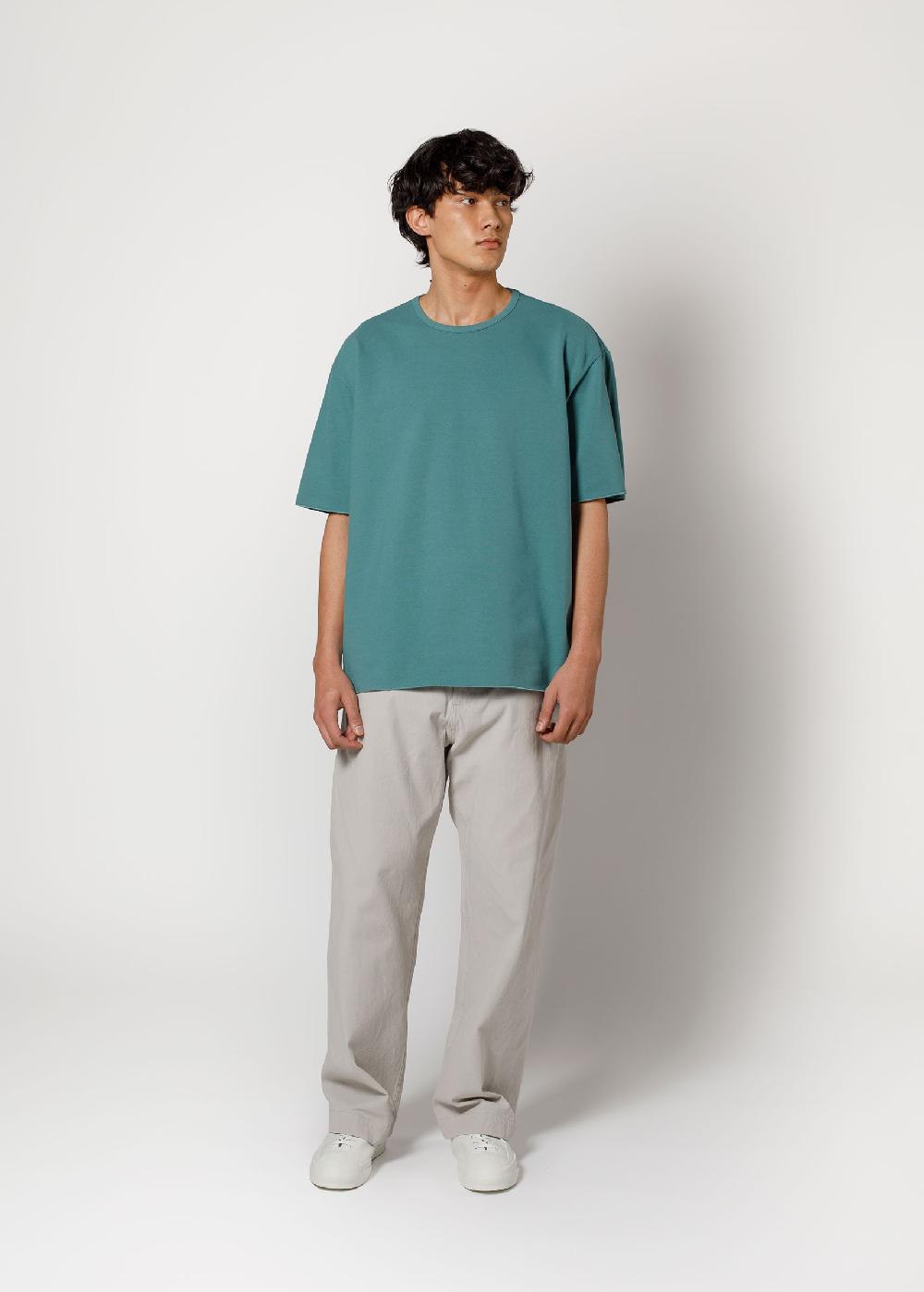 arpenteur Pontus - Vert