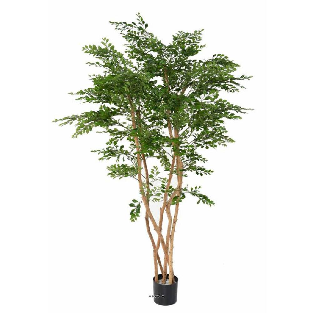 artificielles Acacia Artificiel 5 Troncs Naturels H 180 cm D 100 cm en pot du site Artificielles.com