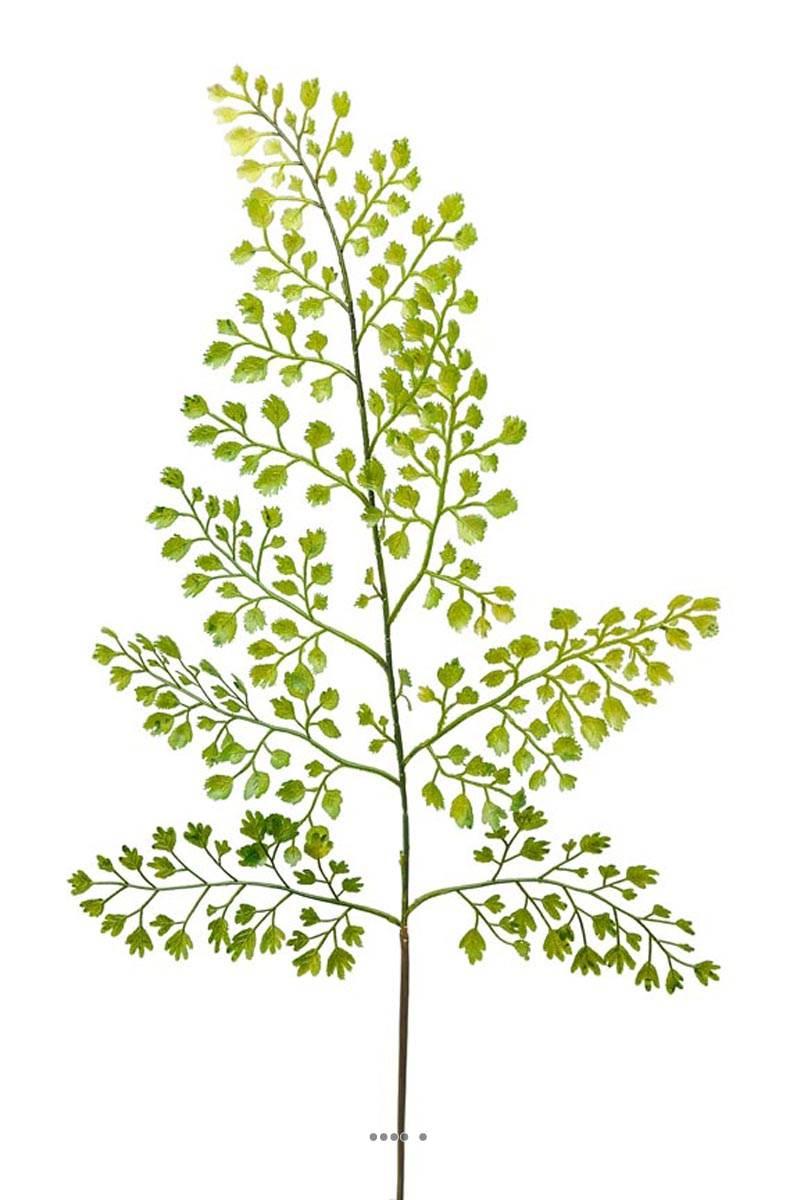 artificielles Adiantum artificielle en branche H 59 cm très aérienne L 20 cm du site Artificielles.com