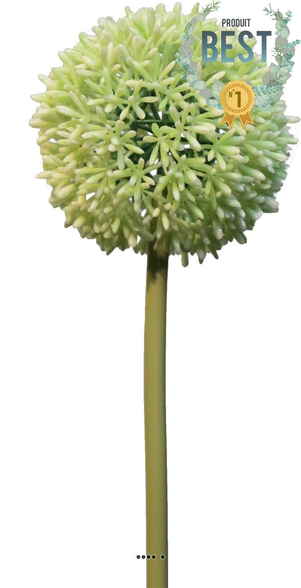 artificielles Allium artificiel en tige spécial grande taille H 68 cm