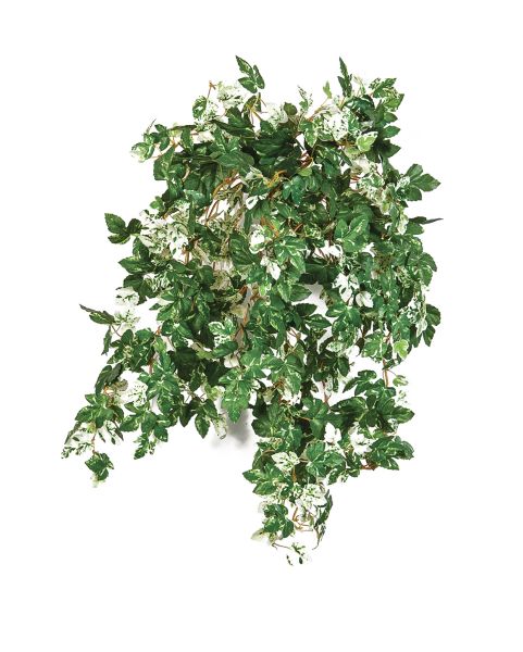 artificielles Ampelopsis artificiel panache L 50 cm 560 feuilles en piquet