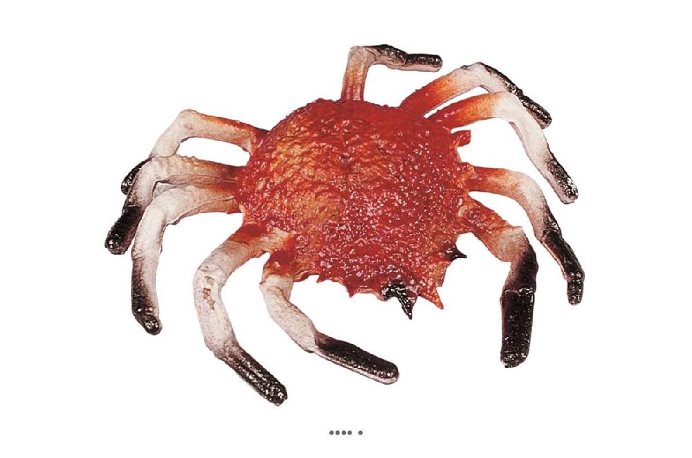 artificielles Araignee de mer artificielle en Plastique soufflé L 220x200 mm
