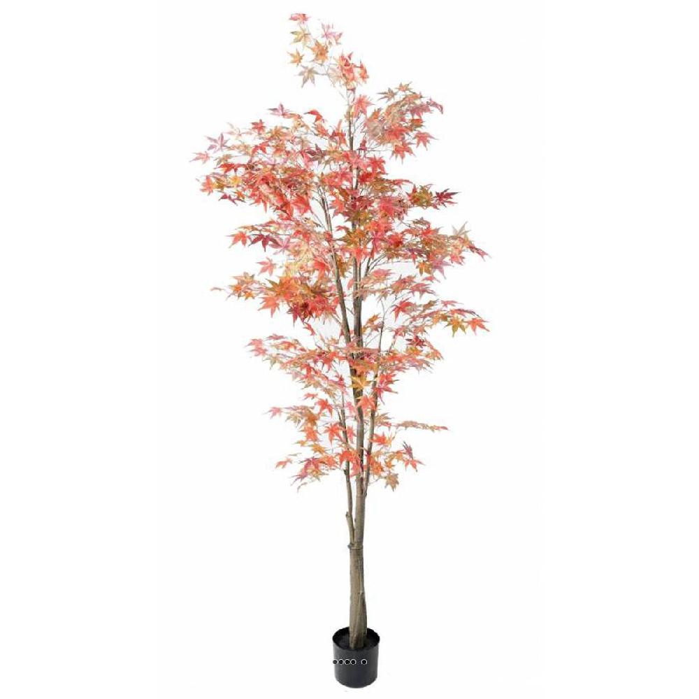 artificielles Aralia Arbre Artificiel| Artificielles.com