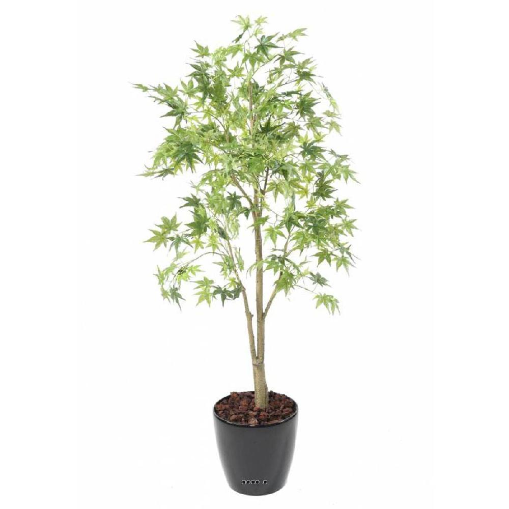 artificielles Aralia Arbre Artificiel| Artificielles.com