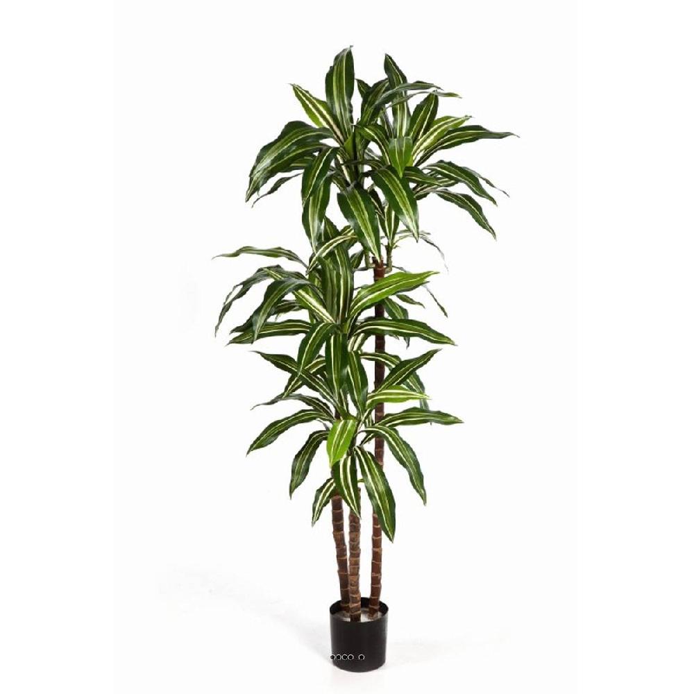 artificielles Arbre Dracaena ou Dracena Fragrans artificiel avec 3 troncs en pot