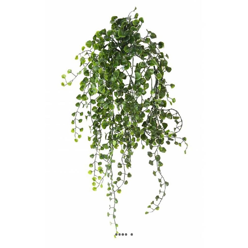 artificielles Chute de dicondra artificiel ext