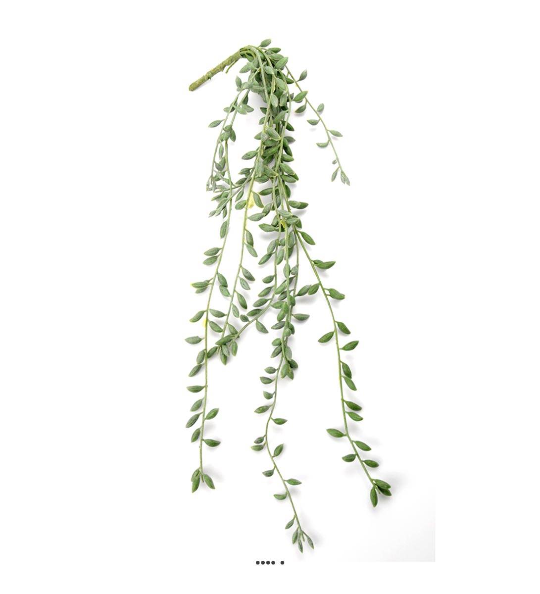 artificielles Chute de Senecio artificiel